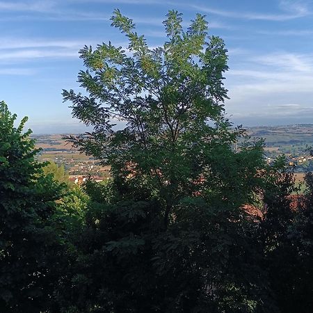Appartamenti Dei Conti Osimo Luaran gambar